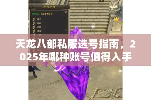 天龙八部私服选号指南，2025年哪种账号值得入手？
