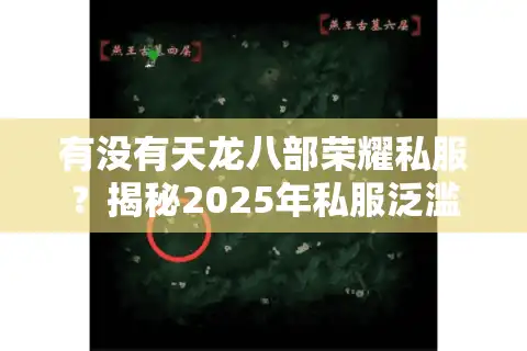 有没有天龙八部荣耀私服？揭秘2025年私服泛滥背后的真相与风险