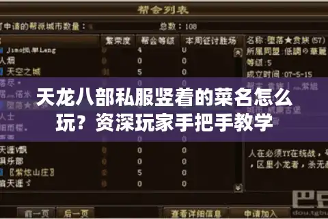天龙八部私服竖着的菜名怎么玩？资深玩家手把手教学