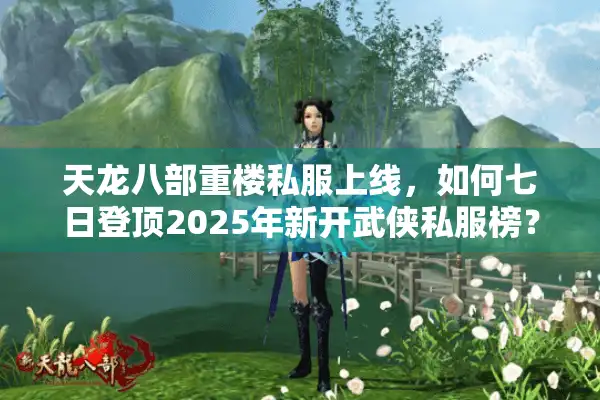 天龙八部重楼私服上线，如何七日登顶2025年新开武侠私服榜？