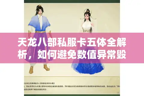 天龙八部私服卡五体全解析，如何避免数值异常毁号？