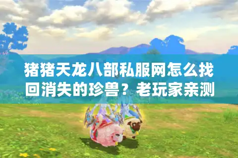 猪猪天龙八部私服网怎么找回消失的珍兽？老玩家亲测3个福利坐标
