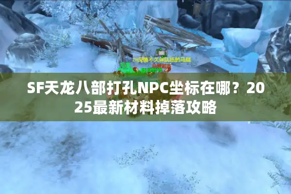 SF天龙八部打孔NPC坐标在哪？2025最新材料掉落攻略