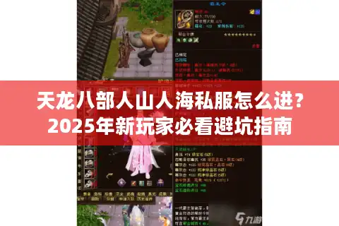 天龙八部人山人海私服怎么进？2025年新玩家必看避坑指南