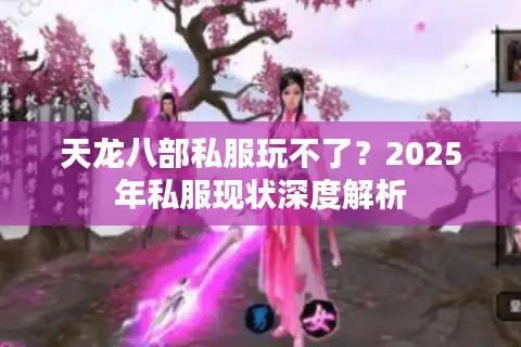 天龙八部私服玩不了？2025年私服现状深度解析