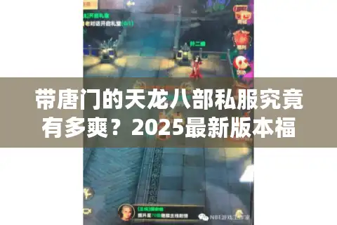 带唐门的天龙八部私服究竟有多爽？2025最新版本福利测评