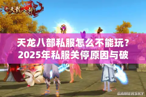 天龙八部私服怎么不能玩？2025年私服关停原因与破解方法大揭秘