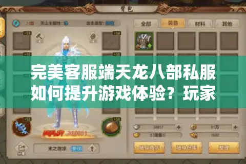 完美客服端天龙八部私服如何提升游戏体验？玩家必备避坑指南