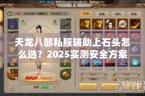 天龙八部私服辅助上石头怎么选？2025实测安全方案揭秘