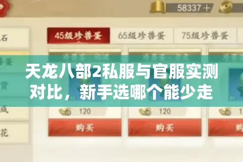 天龙八部2私服与官服实测对比，新手选哪个能少走三年弯路？