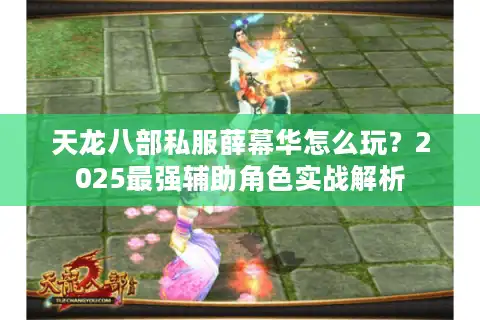 天龙八部私服薛幕华怎么玩？2025最强辅助角色实战解析