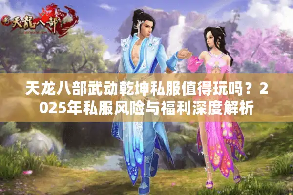 天龙八部武动乾坤私服值得玩吗？2025年私服风险与福利深度解析