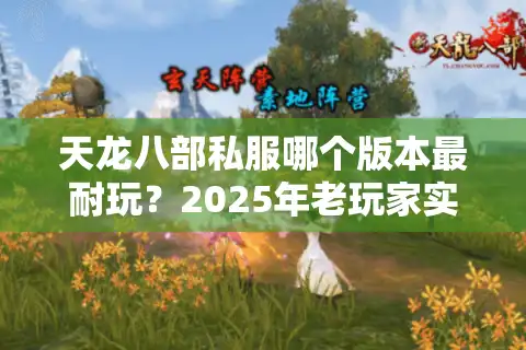 天龙八部私服哪个版本最耐玩？2025年老玩家实测三大版本推荐