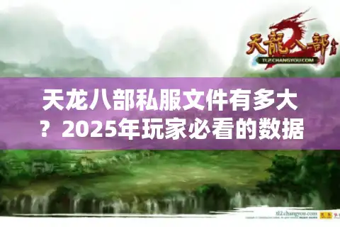 天龙八部私服文件有多大？2025年玩家必看的数据指南