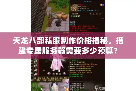 天龙八部私服制作价格揭秘，搭建专属服务器需要多少预算？