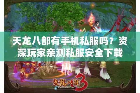 天龙八部有手机私服吗？资深玩家亲测私服安全下载渠道