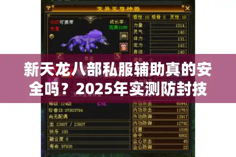新天龙八部私服辅助真的安全吗？2025年实测防封技巧大揭秘