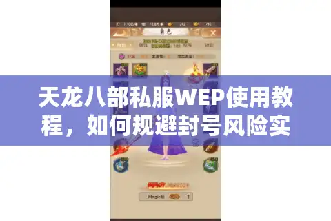 天龙八部私服WEP使用教程，如何规避封号风险实现自由交易？