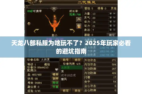 天龙八部私服为啥玩不了？2025年玩家必看的避坑指南