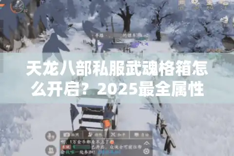 天龙八部私服武魂格箱怎么开启？2025最全属性提升攻略