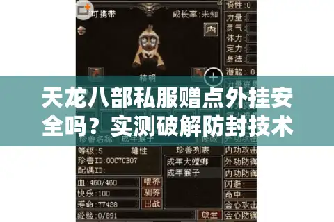 天龙八部私服赠点外挂安全吗？实测破解防封技术终极指南