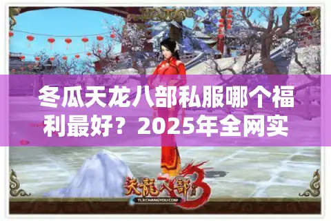 冬瓜天龙八部私服哪个福利最好？2025年全网实测排行榜