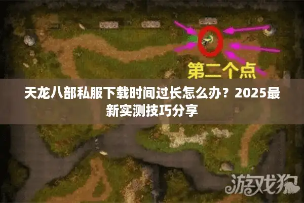 天龙八部私服下载时间过长怎么办？2025最新实测技巧分享