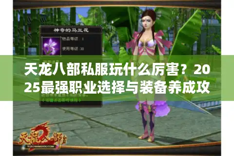 天龙八部私服玩什么厉害？2025最强职业选择与装备养成攻略