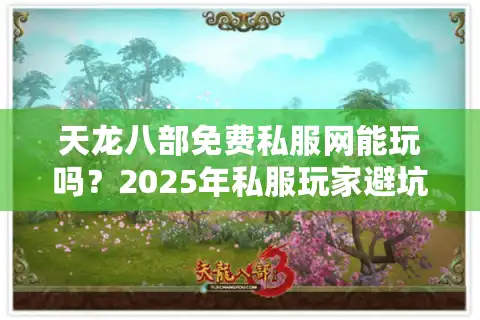 天龙八部免费私服网能玩吗？2025年私服玩家避坑指南