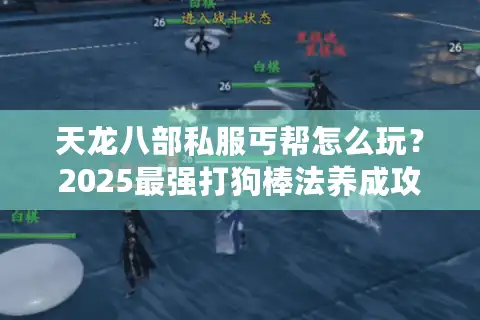 天龙八部私服丐帮怎么玩？2025最强打狗棒法养成攻略