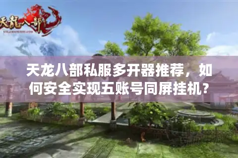 天龙八部私服多开器推荐，如何安全实现五账号同屏挂机？