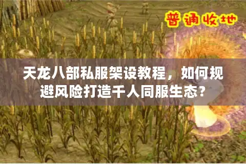 天龙八部私服架设教程，如何规避风险打造千人同服生态？