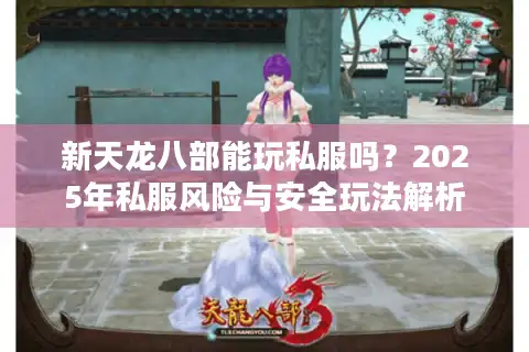 新天龙八部能玩私服吗？2025年私服风险与安全玩法解析