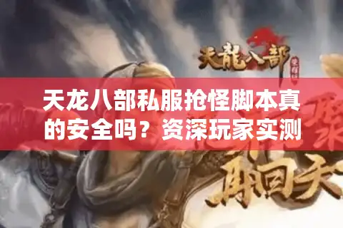 天龙八部私服抢怪脚本真的安全吗？资深玩家实测避坑指南