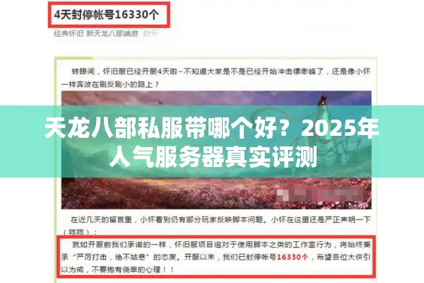 天龙八部私服带哪个好？2025年人气服务器真实评测