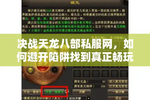 决战天龙八部私服网，如何避开陷阱找到真正畅玩的私服平台？