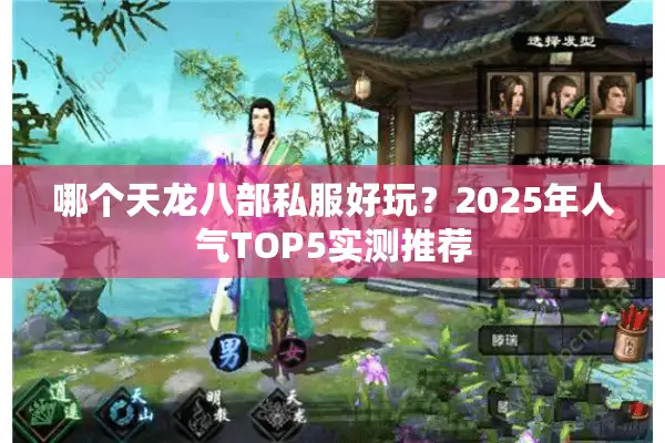 哪个天龙八部私服好玩？2025年人气TOP5实测推荐