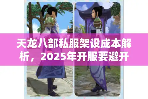 天龙八部私服架设成本解析，2025年开服要避开哪些资金陷阱？