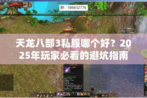 天龙八部3私服哪个好？2025年玩家必看的避坑指南