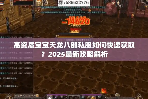 高资质宝宝天龙八部私服如何快速获取？2025最新攻略解析