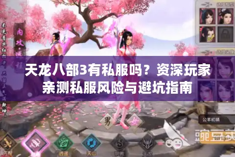 天龙八部3有私服吗？资深玩家亲测私服风险与避坑指南