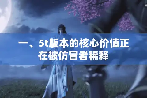 一、5t版本的核心价值正在被仿冒者稀释