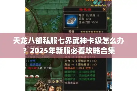 天龙八部私服七界武神卡级怎么办？2025年新服必看攻略合集
