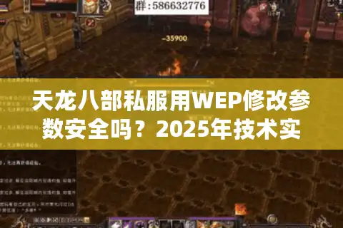 天龙八部私服用WEP修改参数安全吗？2025年技术实测报告