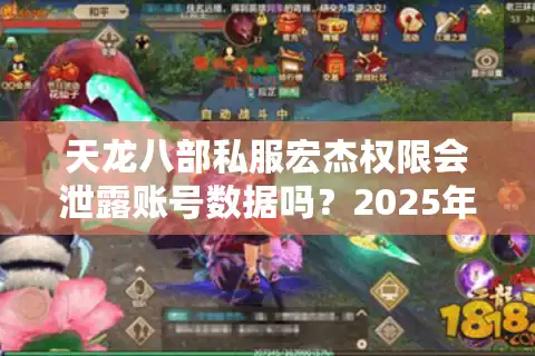 天龙八部私服宏杰权限会泄露账号数据吗？2025年实测避坑指南