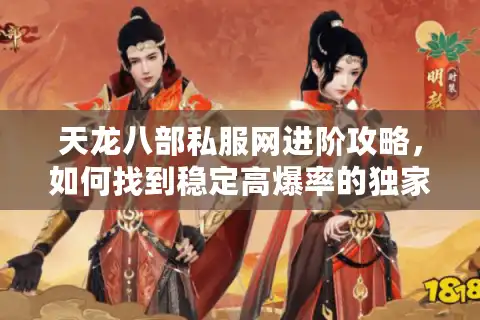 天龙八部私服网进阶攻略，如何找到稳定高爆率的独家版本？