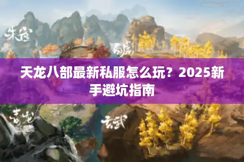 天龙八部最新私服怎么玩？2025新手避坑指南