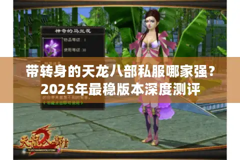 带转身的天龙八部私服哪家强？2025年最稳版本深度测评