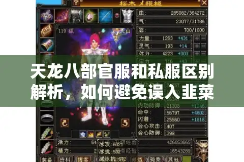 天龙八部官服和私服区别解析,如何避免误入韭菜服? 天龙八部官服和私服区别解析,如何避免误入韭菜服?
