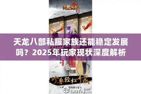 天龙八部私服家族还能稳定发展吗？2025年玩家现状深度解析